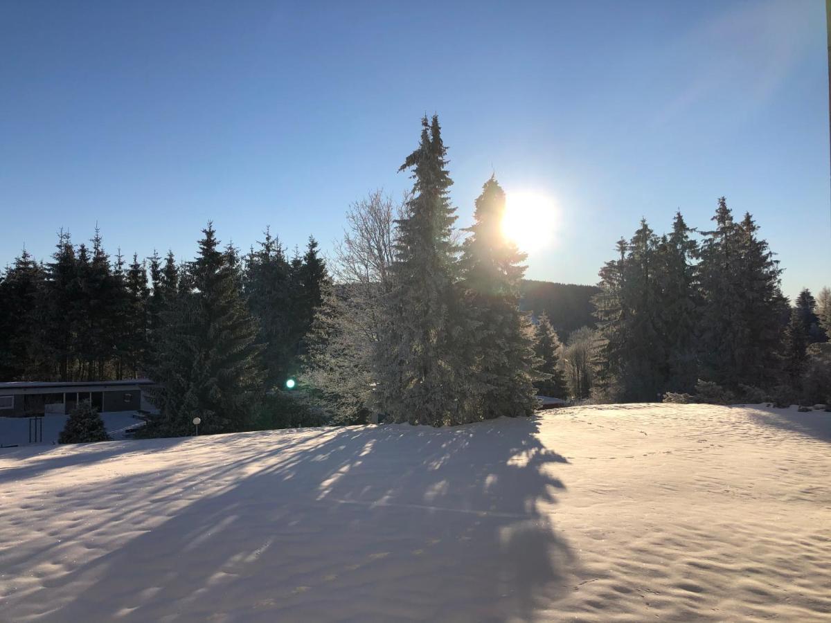 Bocksbergglueck In Hahnenklee, Endreinigung, Bezogene Betten, Handtuecher Inklusive 고슬라르 외부 사진