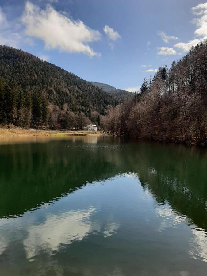 고슬라르 Bocksbergglueck In Hahnenklee, Endreinigung, Bezogene Betten, Handtuecher Inklusive 아파트 외부 사진